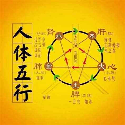 土克木|“五行相克”，分别是什么克什么？